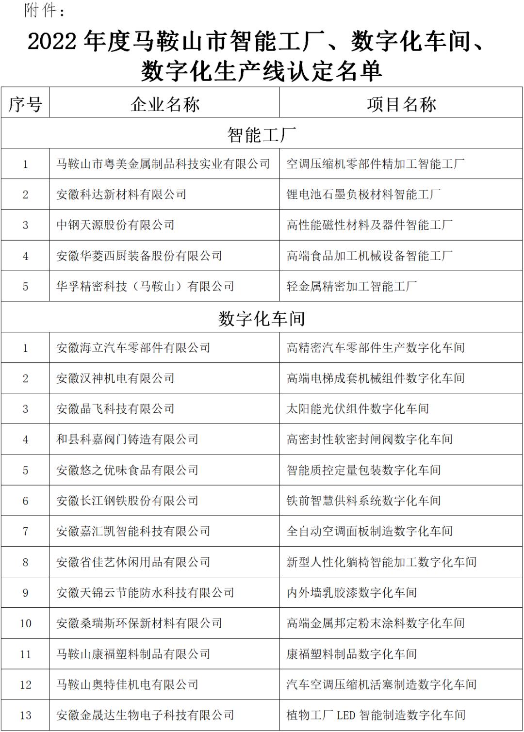馬鞍山市智能工廠、數(shù)字化車間、數(shù)字化生產(chǎn)線認定名單